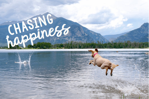Chasing Happiness – Just Keep Your Eyes Open!