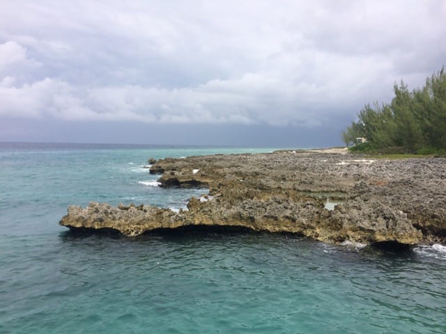 rock and reef in grand cayman