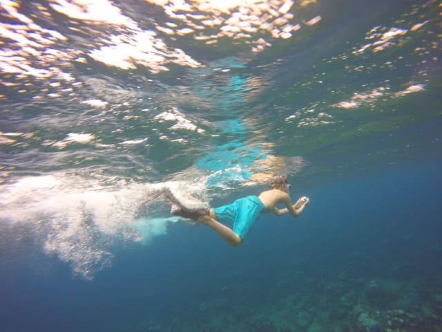 snorkeler in cayman islands